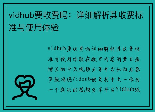 vidhub要收费吗：详细解析其收费标准与使用体验